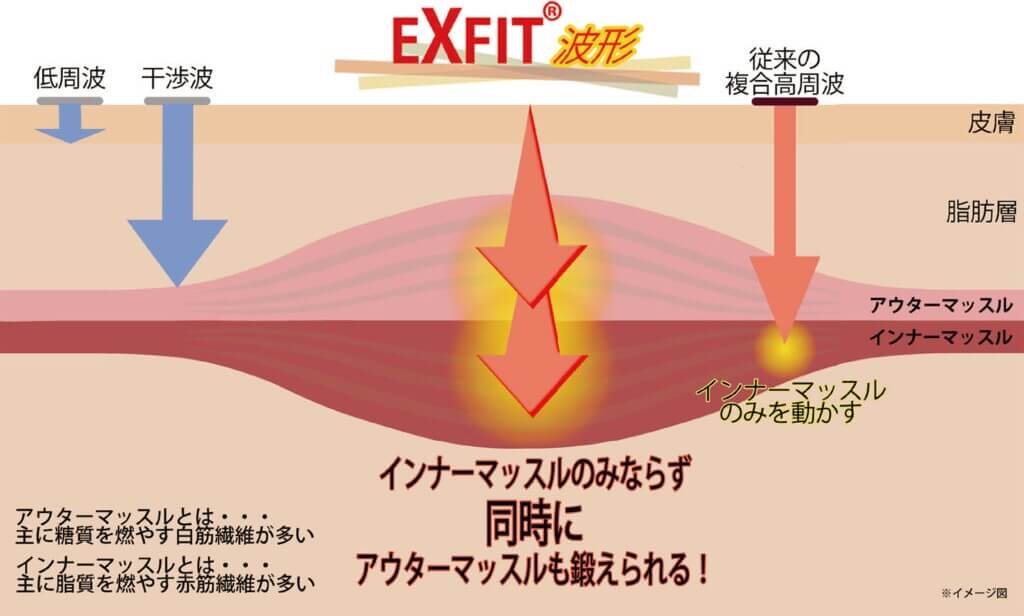 EXFIT PRO 作用メカニズム