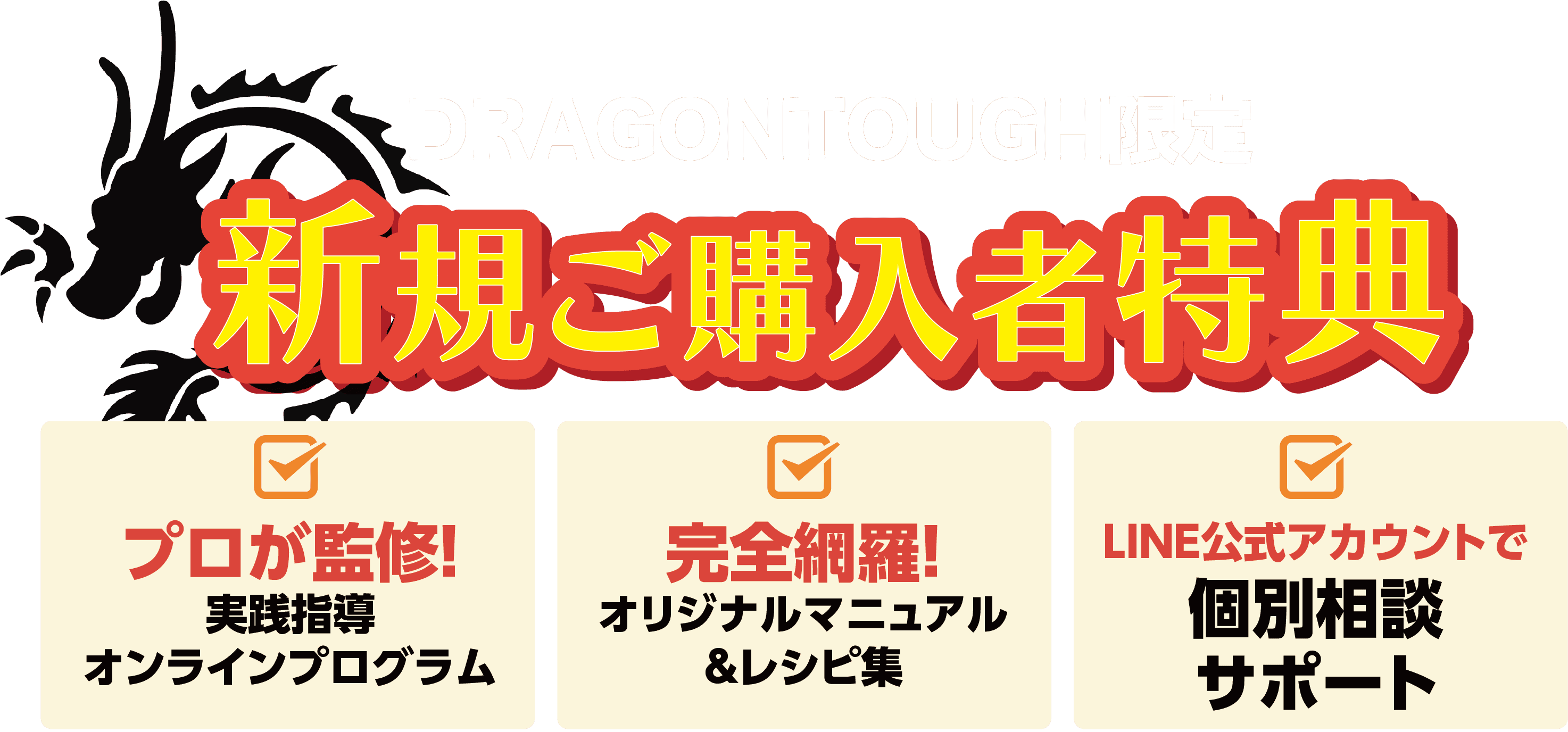 ドラゴンタフ限定 新規ご購入者特典